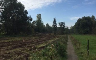 Sentier des longs prés et manque de respect