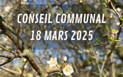 Conseil communal du 18 mars 2025