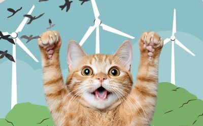 La majorité politique (EPI-MR) de la commune d’Ittre est-elle anti-chats ?