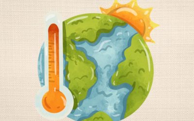 Adhésion de la commune aux packages « Écosystème » et « Impact » proposés par l’INBW dans le cadre du programme POLLEC